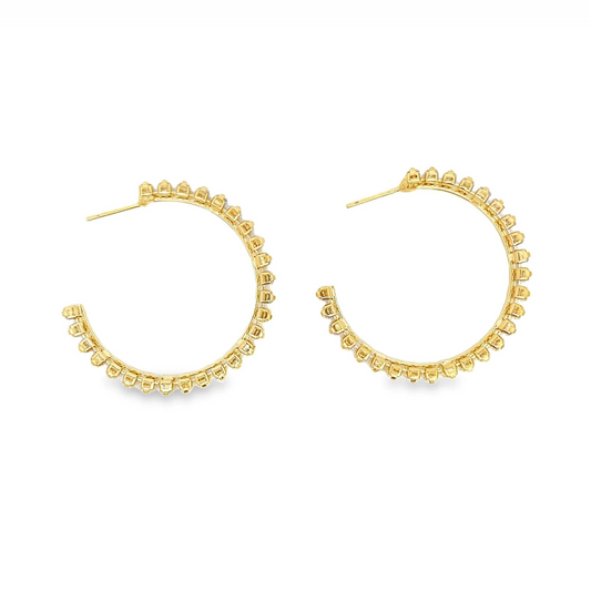 The Paloma Hoops